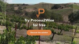 Process2Wine YouTube Video