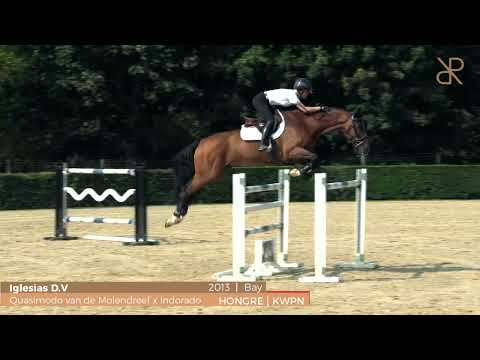 Iglesias D.V.  - Videoshoot day