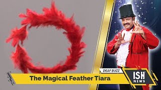 The Magical Feather Tiara
