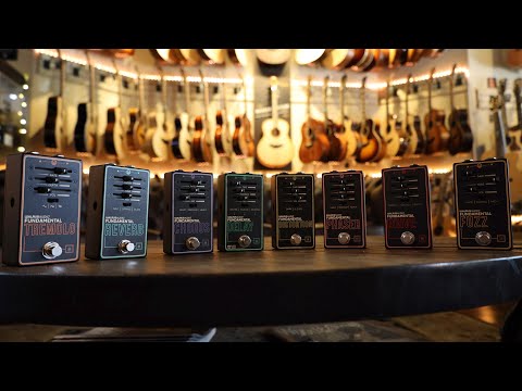 Danville Music Quickie Gear- Walrus Audio Fundamental Series