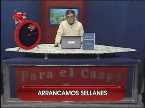 PORQUE EL INTERIOR TAMBIÉN EXISTE - BENDITA TV 04/08/2013