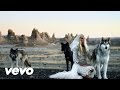 Angus Stone Bird On The Buffalo