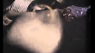 Machine Gun Fellatio - Ride the Back of an Angry Pig 2014 Redux