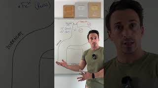 Iron Absorption & Vitamin C