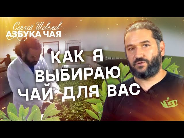 Азбука Чая. Как я выбираю чай?