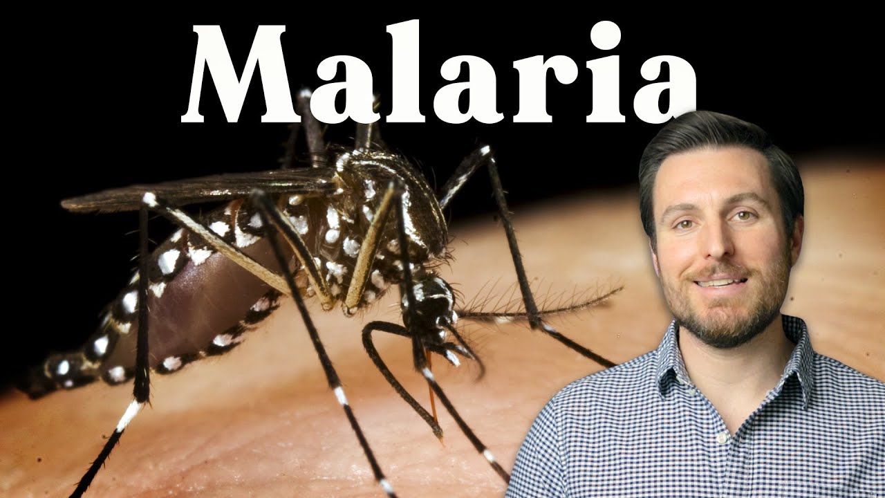 How Humans (almost) Beat Malaria