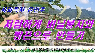 사과측지 유인추 ~DIY로 만들기 (PE봉지 및 빵끈)