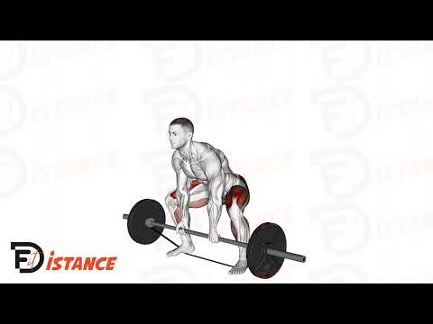 Exercice Soulevé de terre sumo avec bandes élastiques