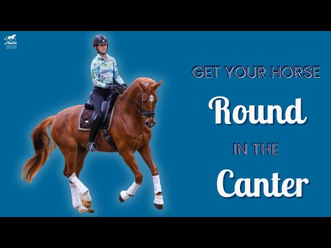 Three Tips to get Your Horse Round in Canter