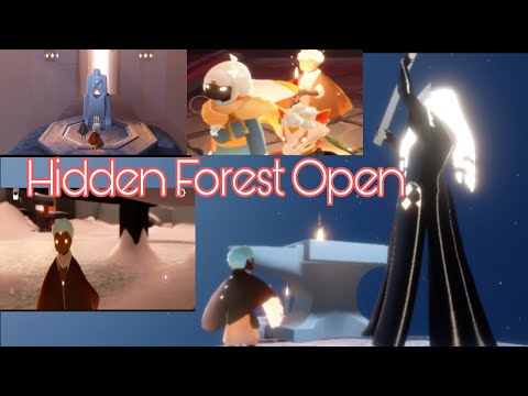 Sky Children off the Light Game | Hidden Forest 4/8 Open | gamerzreina