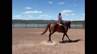 Video 1