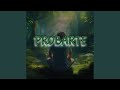 Probarte