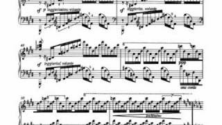 Download lagu Franz Liszt : Concert study in D flat major 'Un sospiro' mp3 Download lagu Franz Liszt : Concert study in D flat major 'Un sospiro' mp3