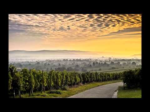 Wein. Bilder vom Anbau, Reife, Lese und Weingegenden.