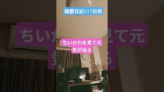 躁鬱日記117日目#vlog＃リハビリ#ちいかわ