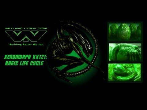 Weyland-Yutani Notes on Xenomorph XX121's Basic Life Cycle