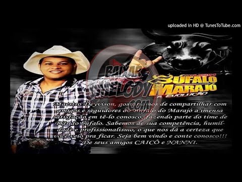 Bufalo Ta Tranquilo Ta Favorável  [Marcelo Ferreira ] 2016