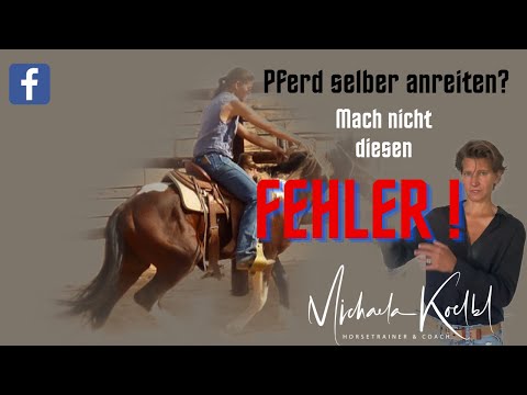 Du willst dein Jungpferd anreiten? Mache nicht diesen Fehler!
