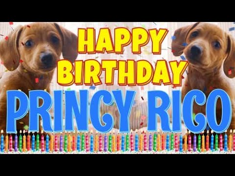 Happy Birthday Princy Rico! ( Funny Talking Dogs ) What Is Free On My Birthday
