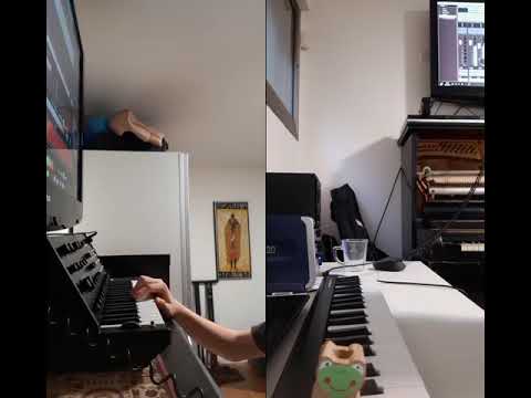 Chopin Op. 25 No.1 On synthesizers