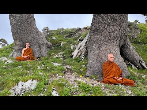 Sutta Study MN 28 with Bhante Suddhaso