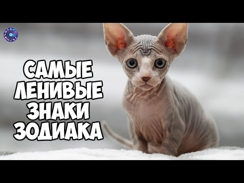 Самые ленивые знаки зодиака