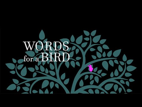 Words for a bird Video