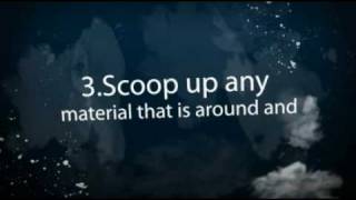 Symptoms of Slime-Mold New Milford NY