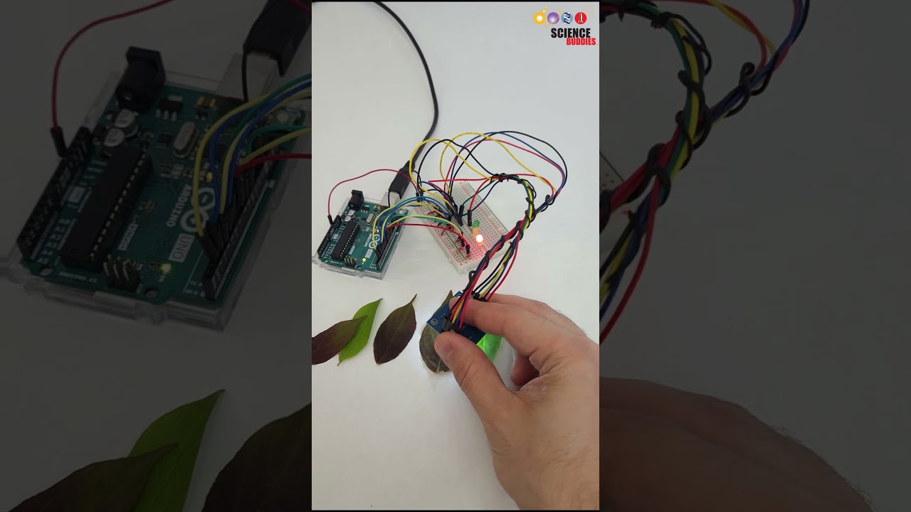 detecting leaf color | science project