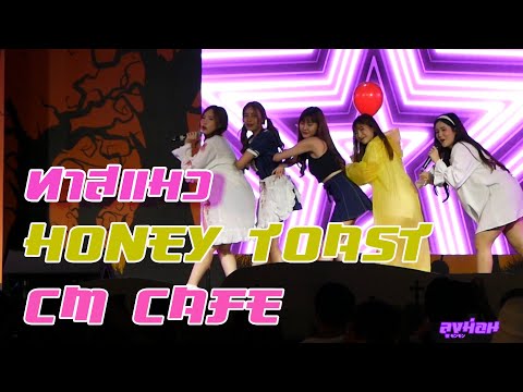 ทาสแมว Honey Toast Idol Exchange 031020