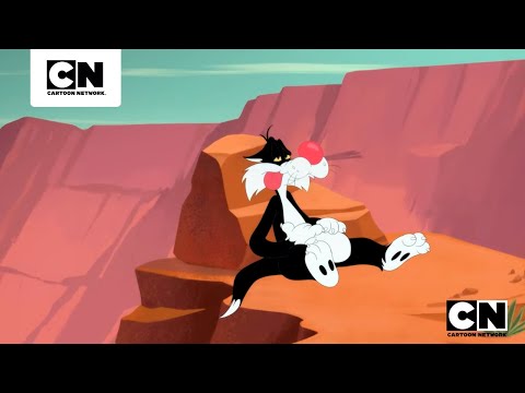 CANÁRIO DO GRAND CANYON | LOONEY TUNES CARTOONS | CARTOON NETWORK