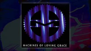 MACHINES OF LOVING GRACE - All I Really Need