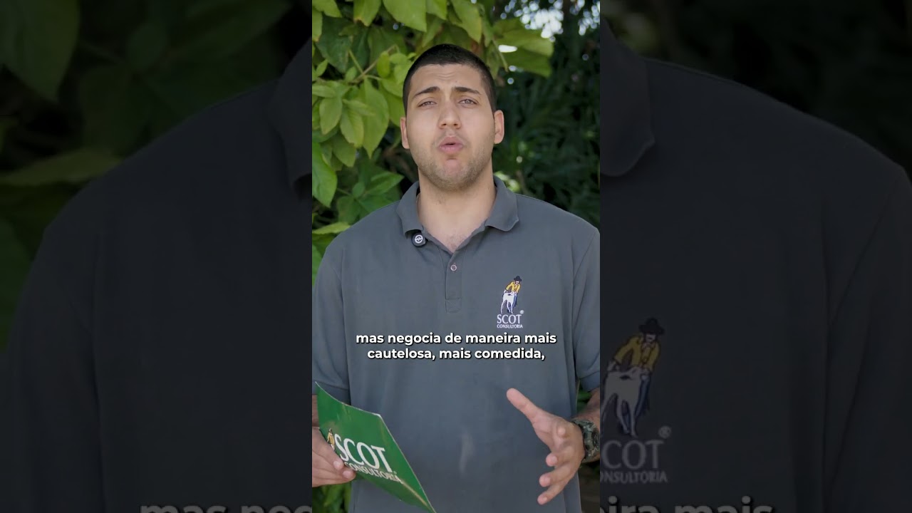 Oferta contida sustenta alta do boi gordo no início de agosto