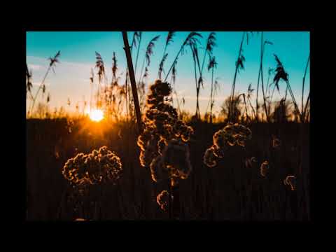 Calmani & Grey "Winter Ocean" [Lizot Remix]