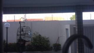 ROCHEDO 135