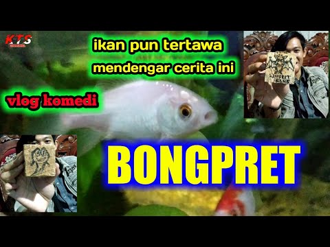 ikanpun-tertawa-mendengar-cerita-ini-vlog-komedi-bongpret-komedi-lucu-indonesia