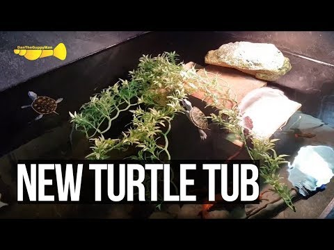 download lagu mp3 mp4 75 Gallon Tub, download lagu 75 Gallon Tub gratis, unduh video klip 75 Gallon Tub