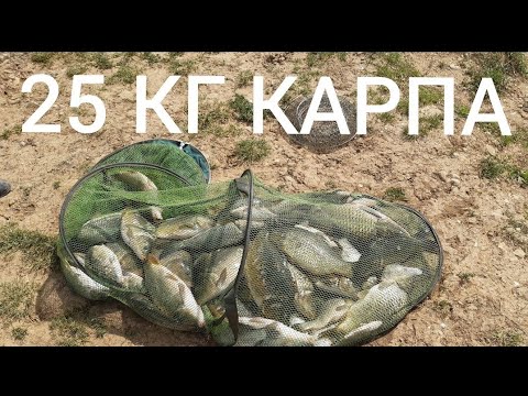 Платная рыбалка в раково отличный улов плюс бонус птица:)))