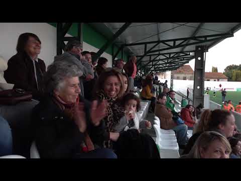 Todos os Golos ⚽ SC Fermentelos Vs Oliveira do Bairro Sport Club