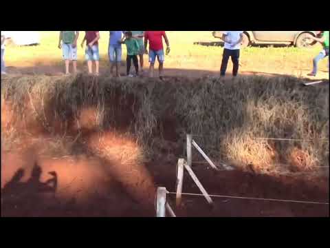 J.C BEIRA RIO DESAFIO DE AMIGOS