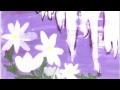 Весна (фрагмент песни Аллы Евтодьевой из сборника "Капелька Солнышка") 