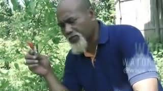 Download lagu Motivasi spirit wagu ala ahlinya ahli pak dul mp3 Download lagu Motivasi spirit wagu ala ahlinya ahli pak dul mp3