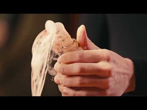 Fresh Vine Wine: Meet the Winemaker (Brand Video)