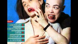 Suede We&#39;re So Disco