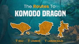Three Different Routes, One Komodo Adventure