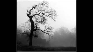 this street, that man ,this life ...by the cowboy junkies