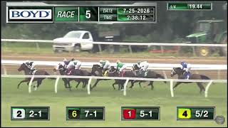 Asian Matriarch- Belterra Park - 7/25/26