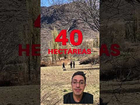 Cachi: desalojo diaguita, 600 policías y la familia Wayar en el centro del conflicto territorial