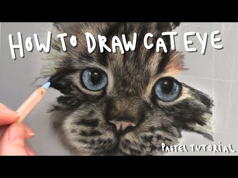 How to draw a CAT EYE || PASTEL PENCIL TUTORIAL