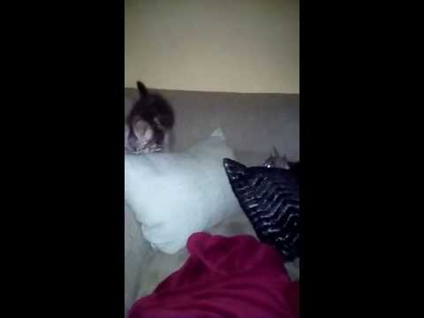 Nürburgring morgens um 6 Uhr